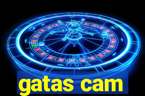 gatas cam
